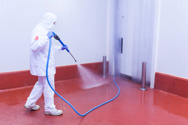 Best Patio and Deck Pressure Washing  in Central Islip, NY